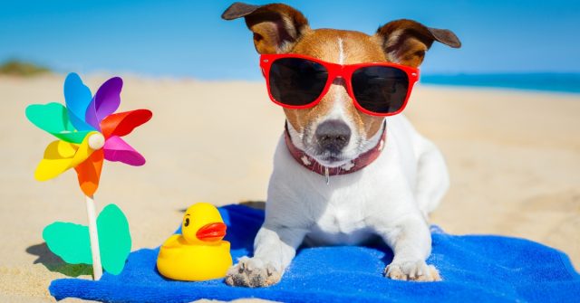 koriščenje lanskega dopusta