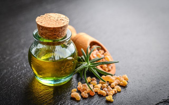 Pridobivanje smole, dejavnost s katero pridemo do naravnih nadomestkov sintetičnih kemikalij v vsakdanji uporabi