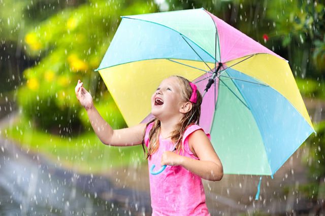 Rejništvo – kako postati rejnik in kakšne so pravice in dolžnosti rejnikov