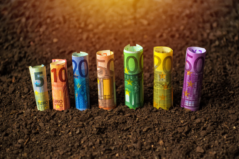 energetska izkaznica