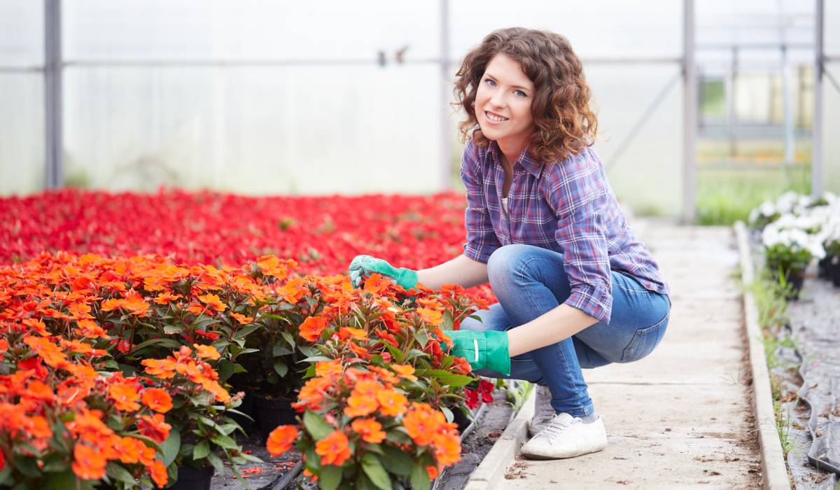 pogoji za odprtje sp