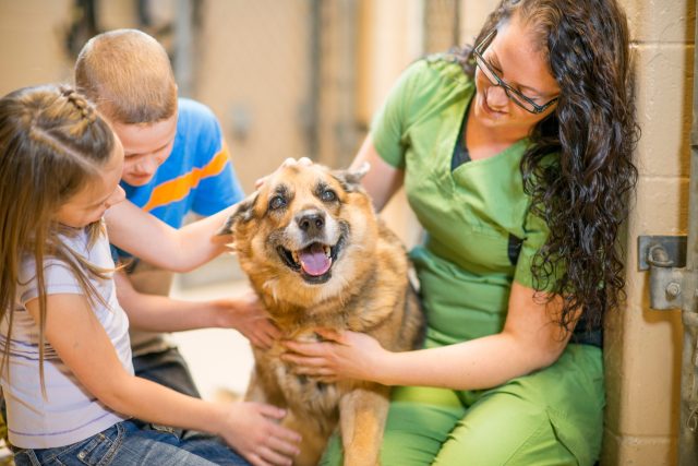 pridobitna in nepridobitna dejavnost