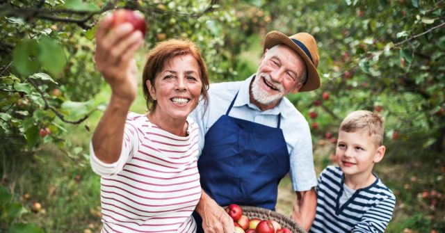 začasno in občasno delo upokojencev