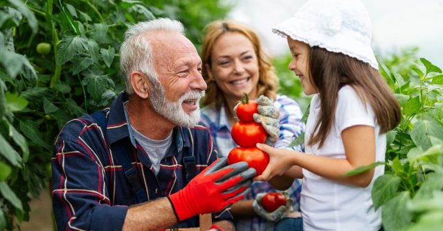 brezplačna pomoč družbi